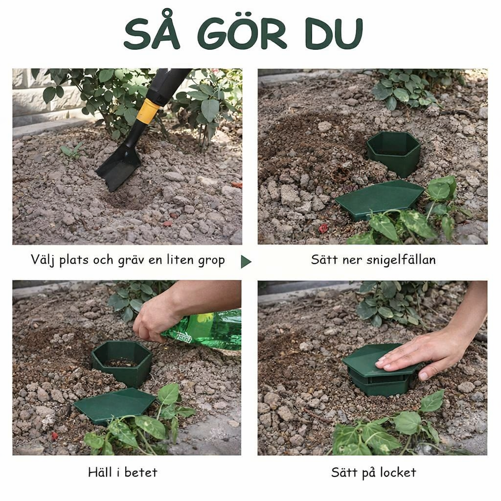Sneglefælde